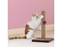 hillary high sleeper cat post